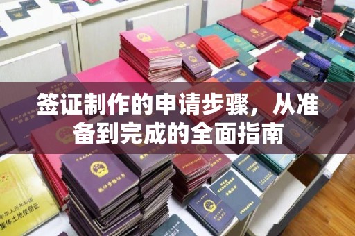 凤凰签证制作的申请步骤，从准备到完成的全面指南